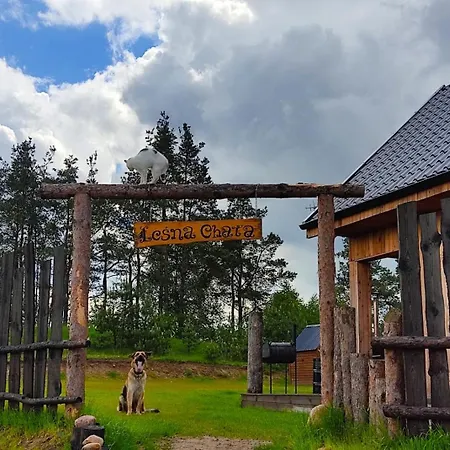 Gorska Na Kaszubach - Balia Na Wylacznosc, Sauna, Klimatyczne Miejsce *