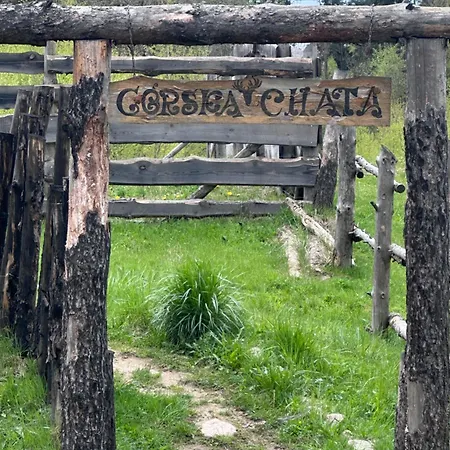 Górska Na Kaszubach - Balia Na Wyłączność, Sauna, Klimatyczne Miejsce Golubie